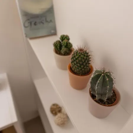 Luma Apartamento